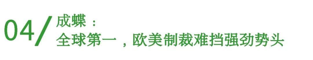 “杀不死”的中国光伏：从黎明微曦到全球霸主的蜕变