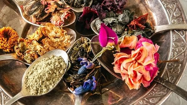 麦冬的功效与作用：传统应用与现代研究