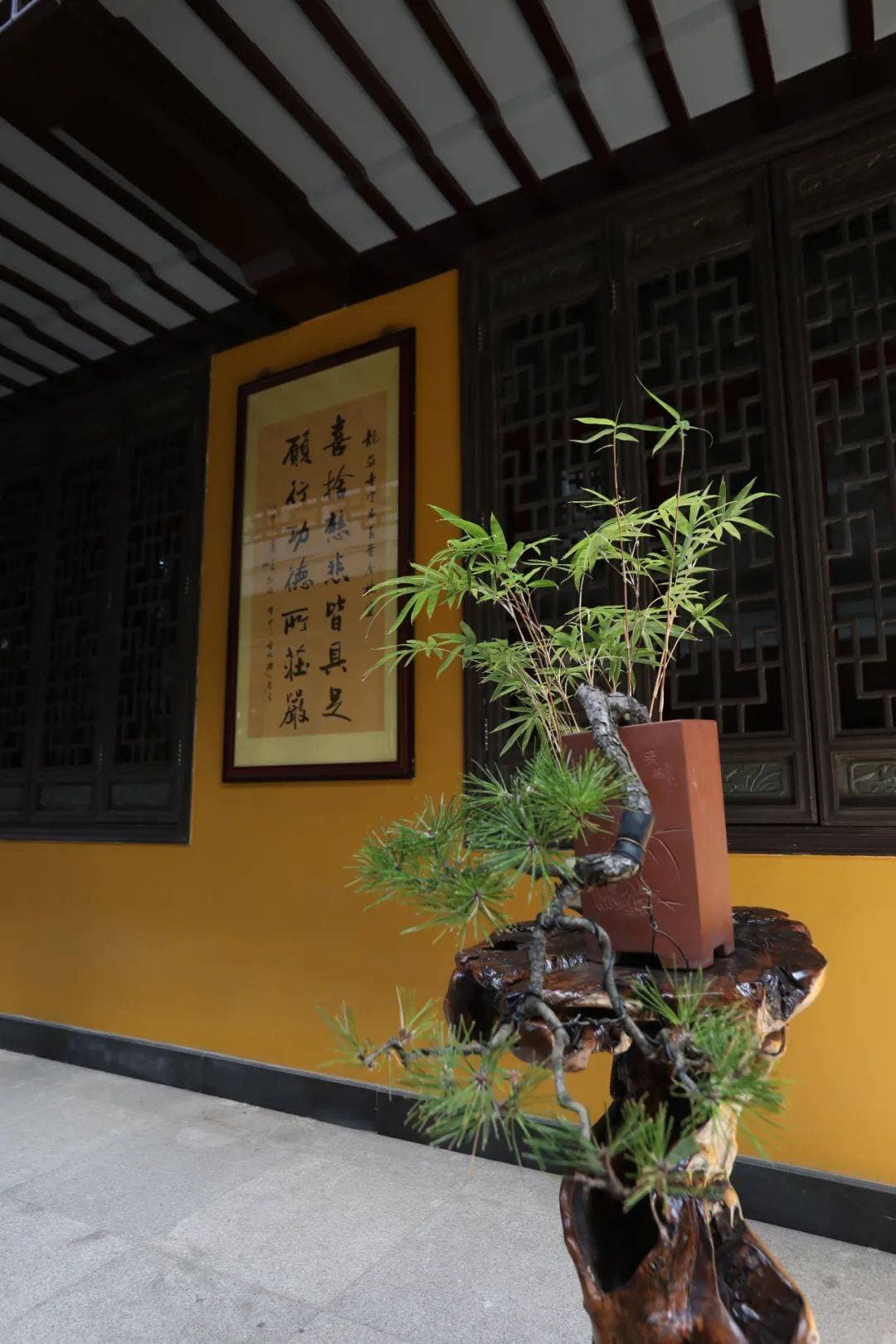 远离颠倒梦想 究竟涅槃