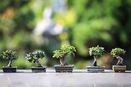 深入解析：壬午日柱是正财还是偏财的命理特征