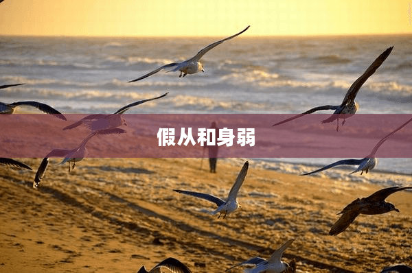八字命理中的“假从”与“身弱”