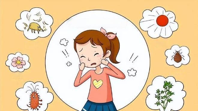 过敏反应原理：免疫系统如何引发身体的过度反应