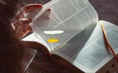 指数运算的奥秘：揭秘次方公式背后的数学力量