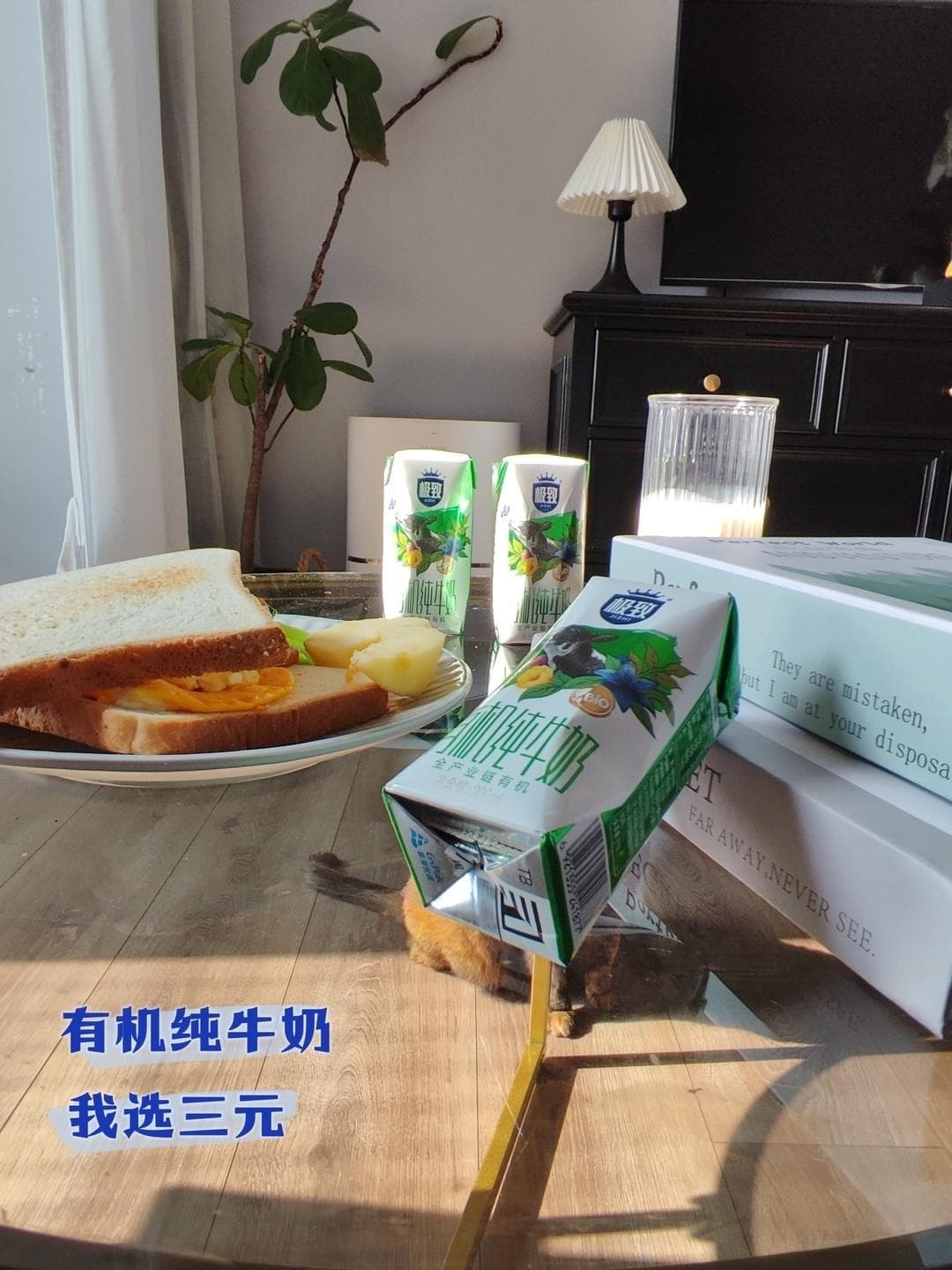 牛奶在健康饮食中的作用