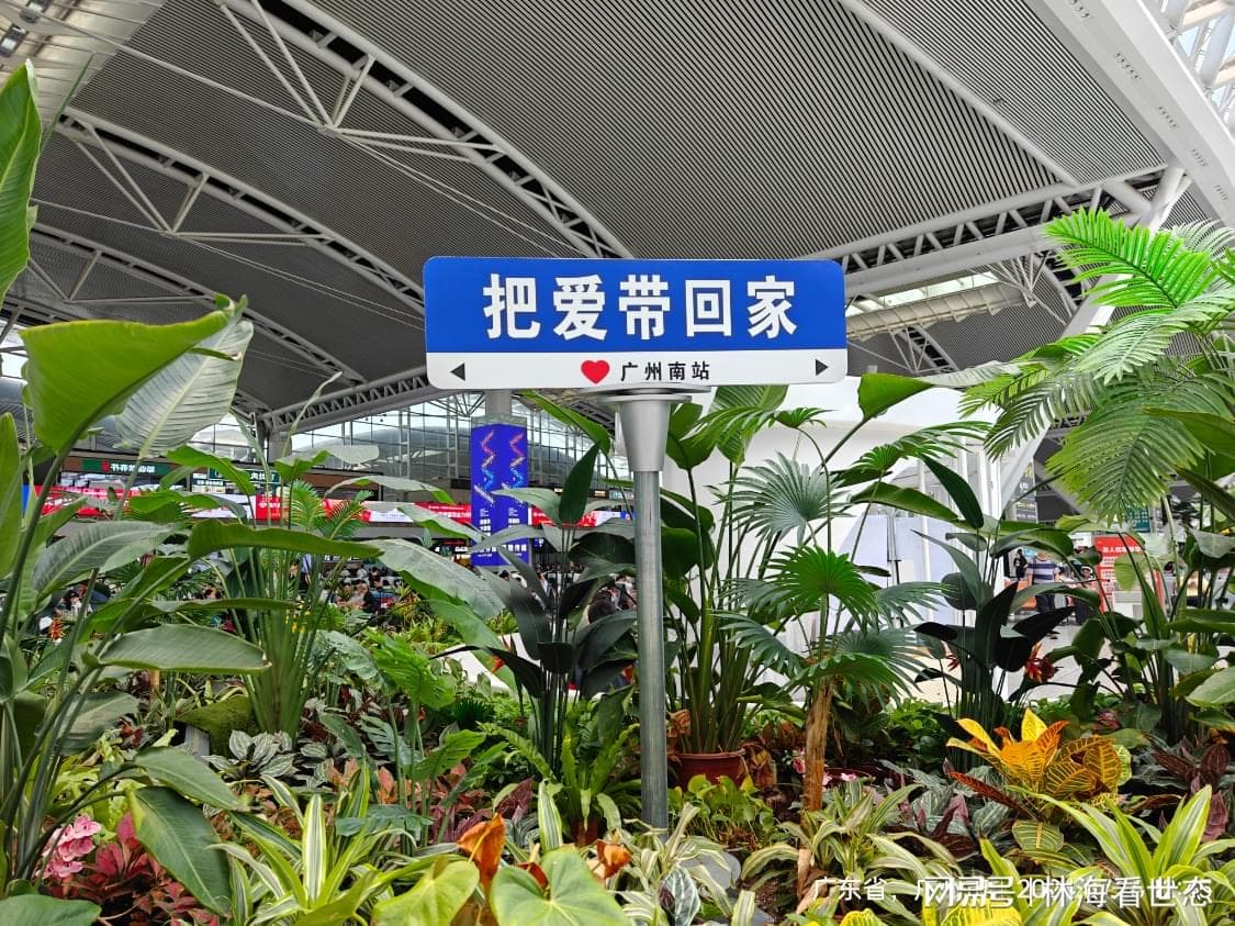 走马防城港 1.仙人山刘半仙预言成真 “日间穿梭千帆过  ……”