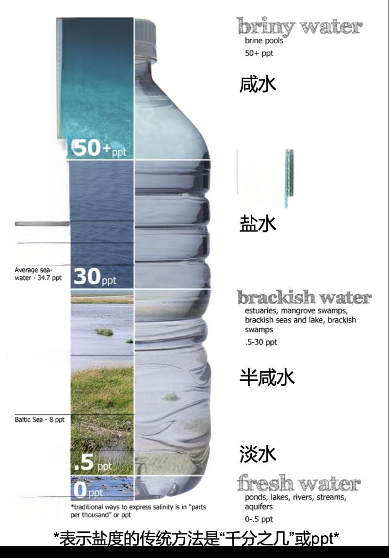 “咸淡争霸赛”：大西洋VS太平洋，盐度差距悄然拉大！