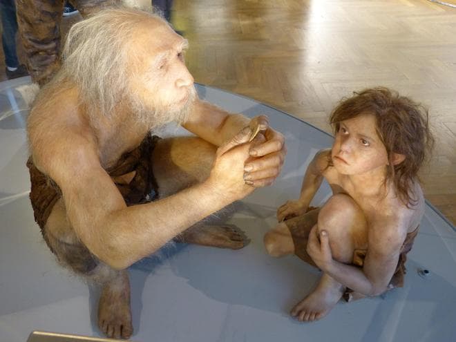 4.7万年前智人和尼安德特人疯狂杂交，科学家发现Y染色体有点不对