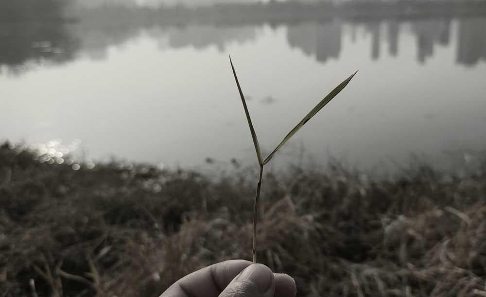 探索HIV的核酸成分：解锁病毒复制的奥秘