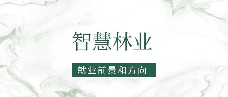 2025智慧林业专业就业前景及方向：好找工作吗？
