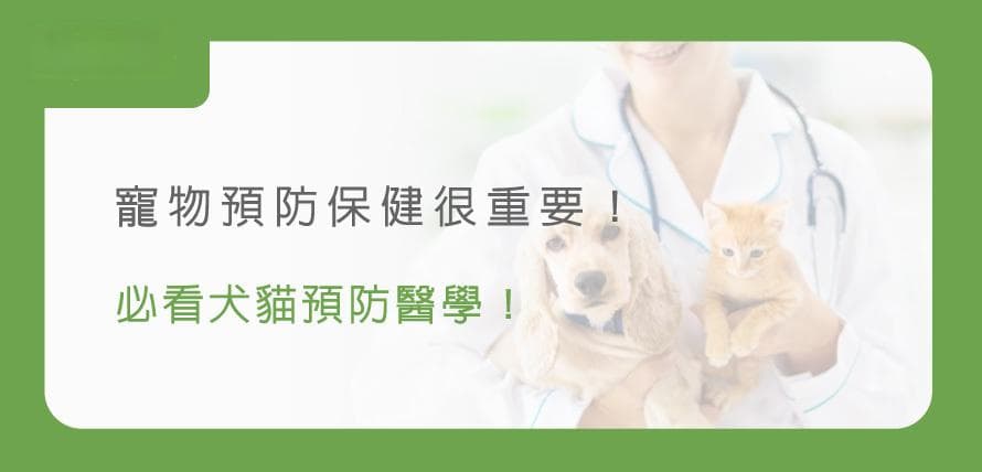 宠物预防保健很重要！必看犬猫预防医学！