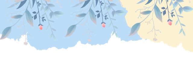 肺癌预防，从戒烟做起