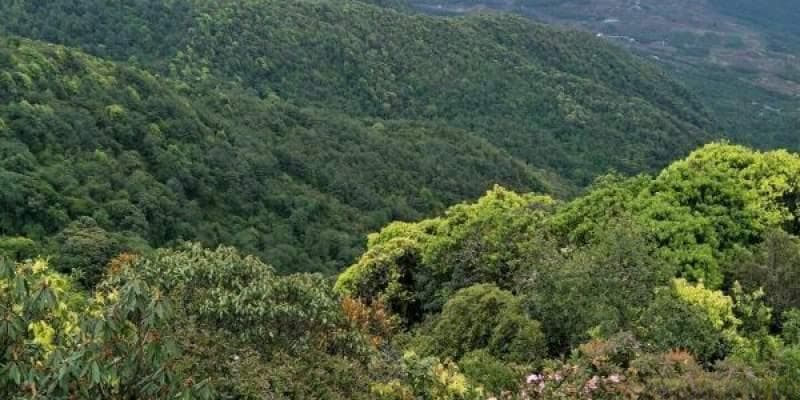 云南新平磨盘山旅游攻略：自然风光与民族文化的完美融合