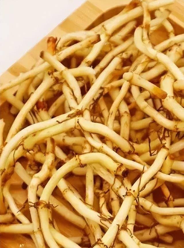 “只有一次和无数次”的争议美食”折耳根，说有毒性吃了安全吗？