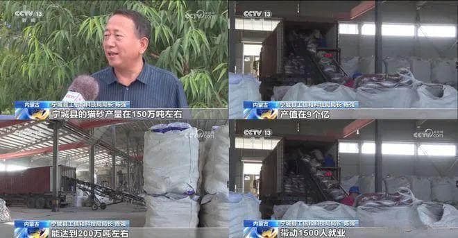 内蒙古的一个县，撑起了全球猫砂的半壁江山