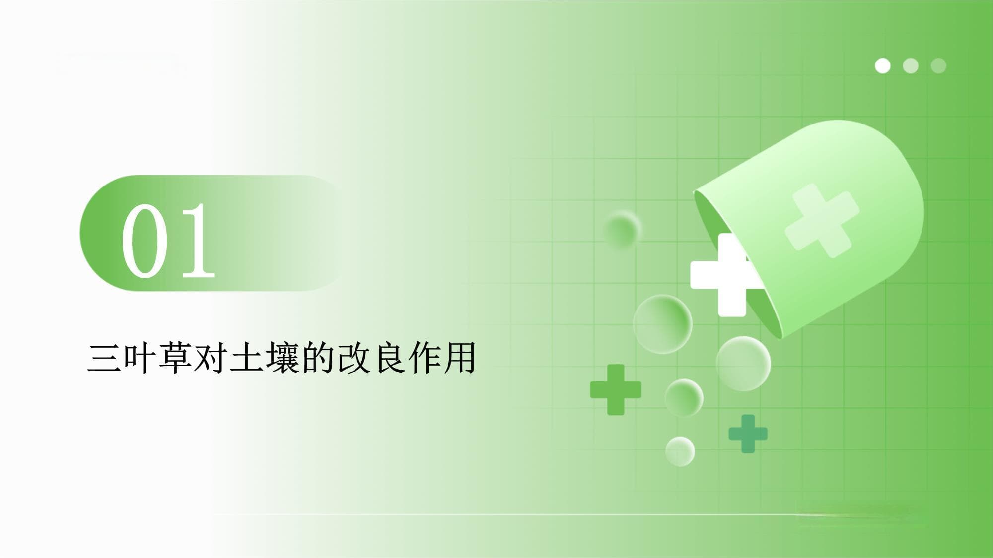 果园里种点三叶草改良土壤好处多