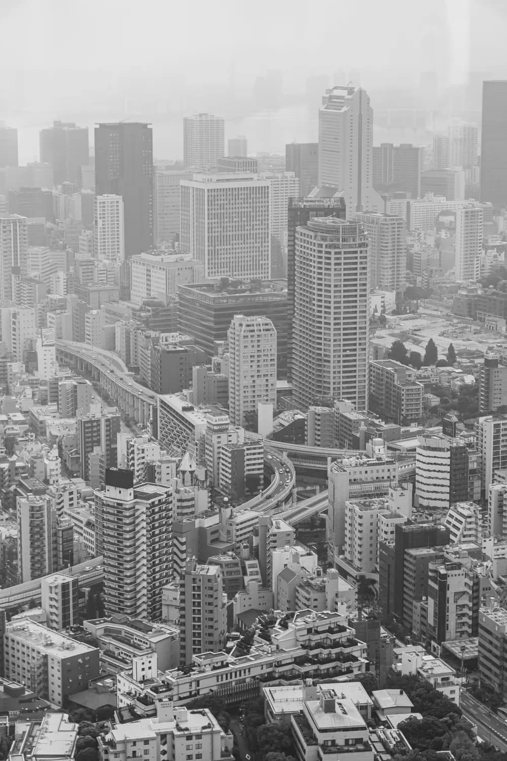 强基计划：助力学子逆袭名校的新途径