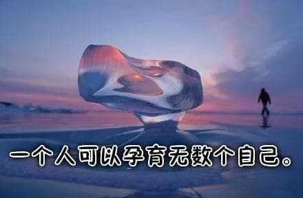 根据不同的智慧层次，大脑意识层次可划分等级