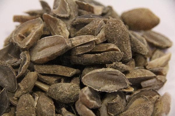 中药煎了可以保存几天