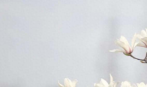 历史的尘埃——鲁迅、郁达夫的京师交游