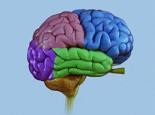调节多巴胺，提升记忆力的科学方法