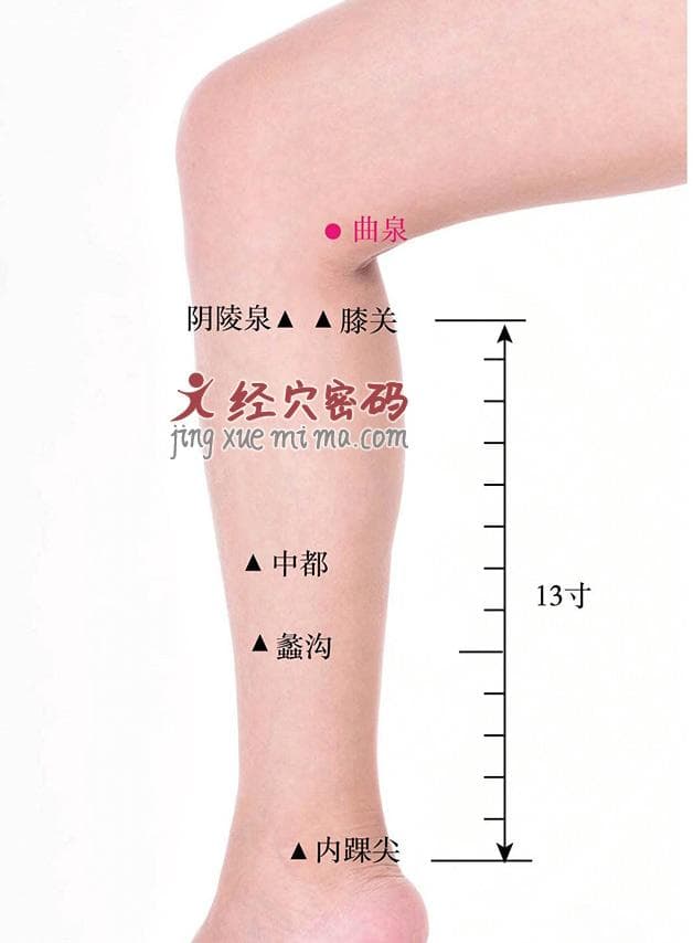曲泉穴的定位、功效与疗法详解