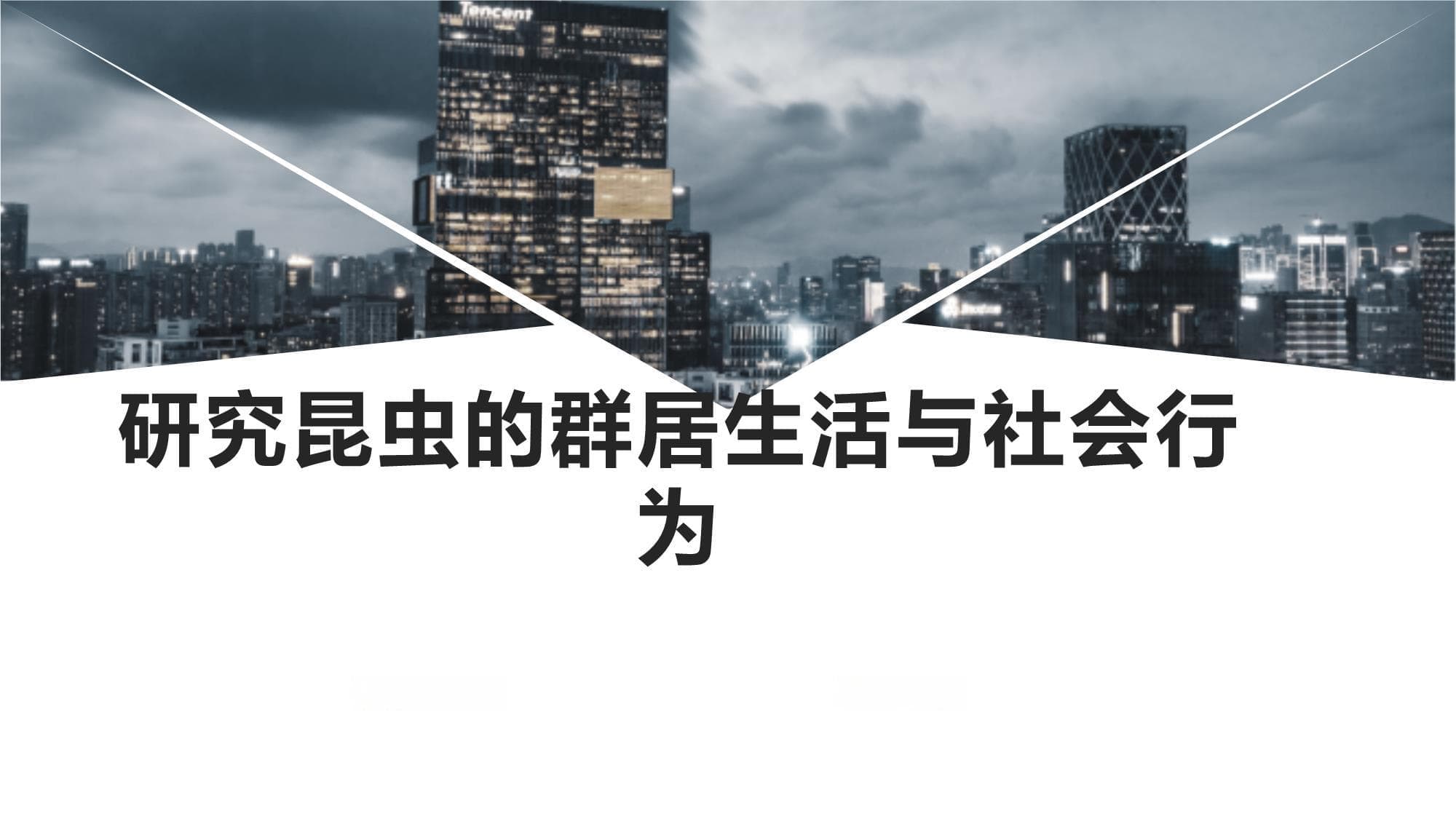 研究昆虫的群居生活与社会行为