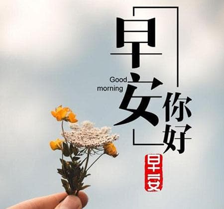 早安心语：开启美好一天的钥匙