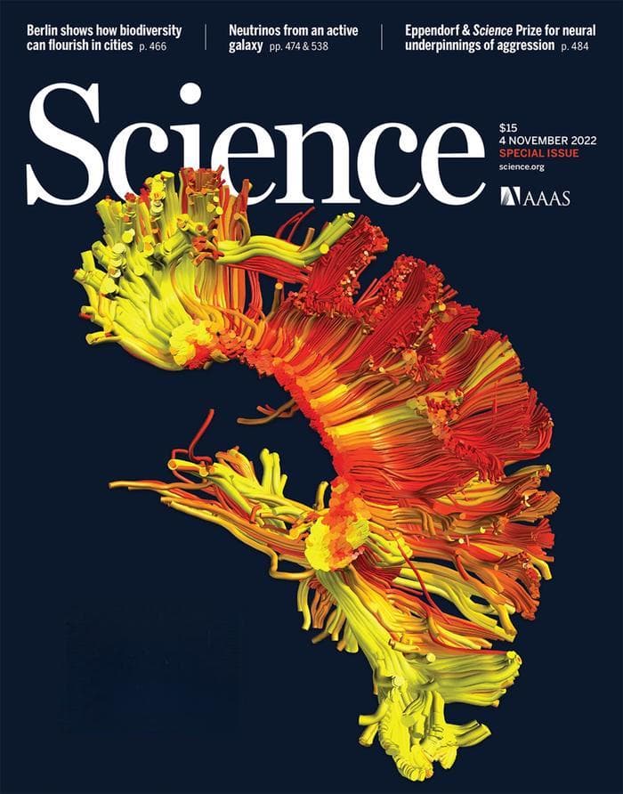 Science经典特刊：“没有一个神经元是孤岛”——大脑连接的重要意义