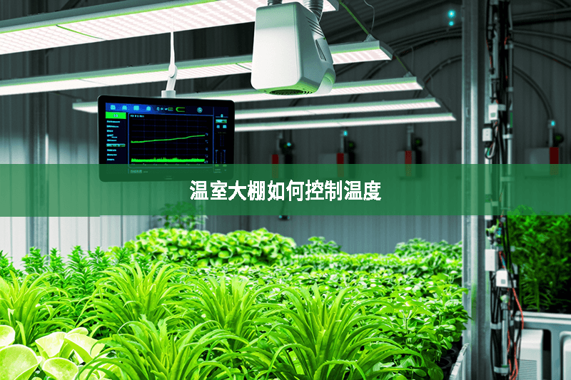 温室大棚如何控制温度