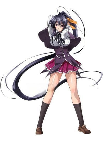 姬岛朱乃：《恶魔高中D×D》中的雷光巫女