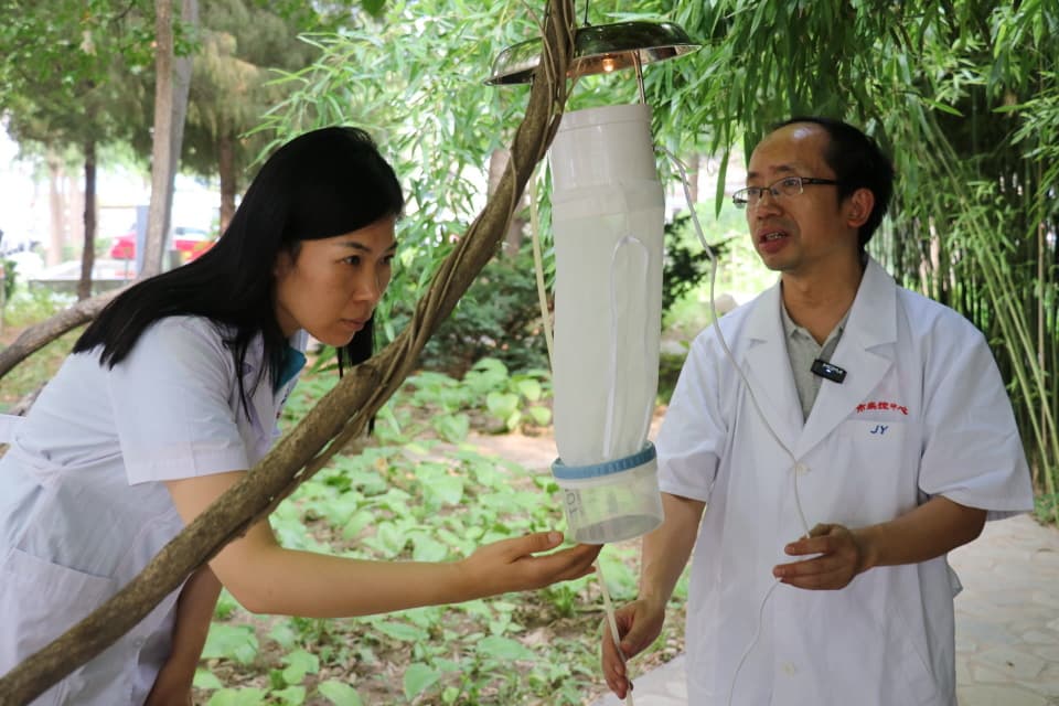 北京发布蚊虫叮咬指数预报，五级风险划分助力科学防蚊