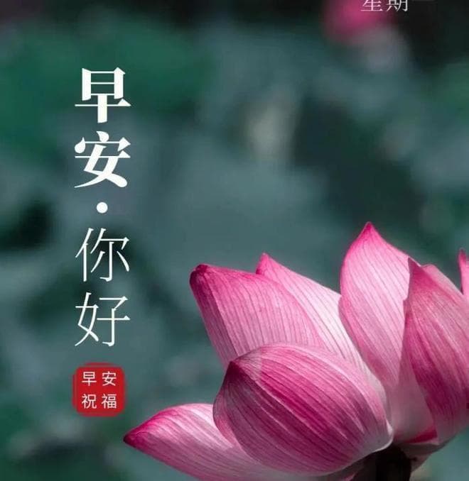 25句走心早安心语：让每一天都充满温暖和力量