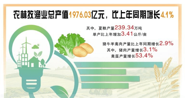 上半年特色农业较快增长，其中禽蛋产量大幅提升  53.4%背后的“六畜兴旺”