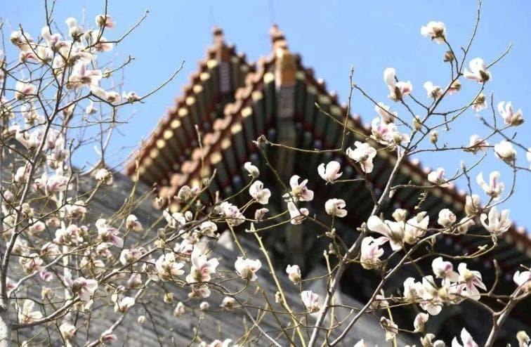 全国多地现20℃温差，春季气温波动大需做好防护