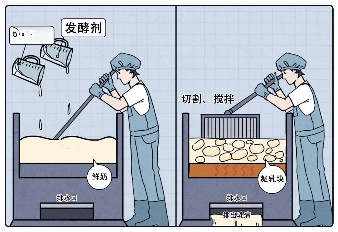 奶酪完全指南：从制作工艺到营养价值，一文读懂奶酪