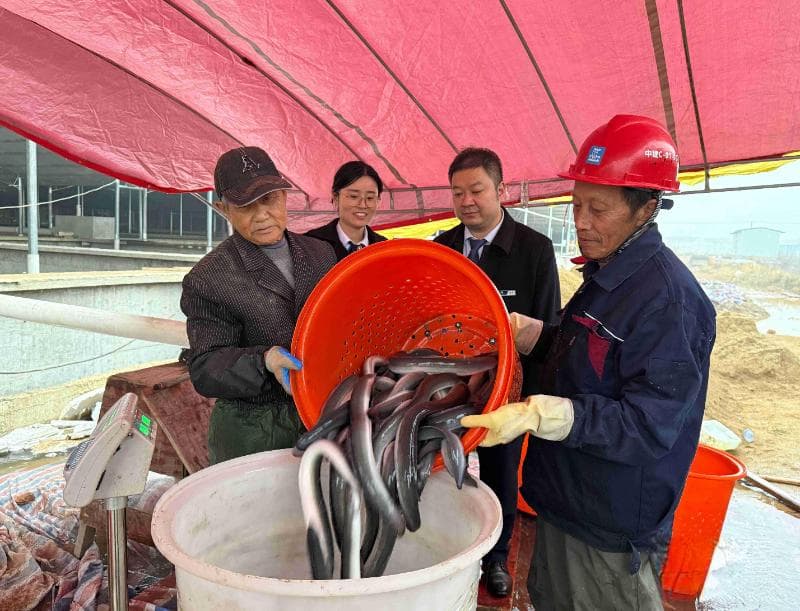 精准、快捷、普惠——湖北优化机制破解小微企业融资难