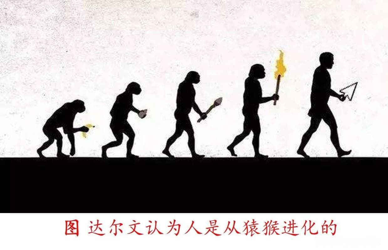 达尔文的进化论颠覆性了什么旧思想？