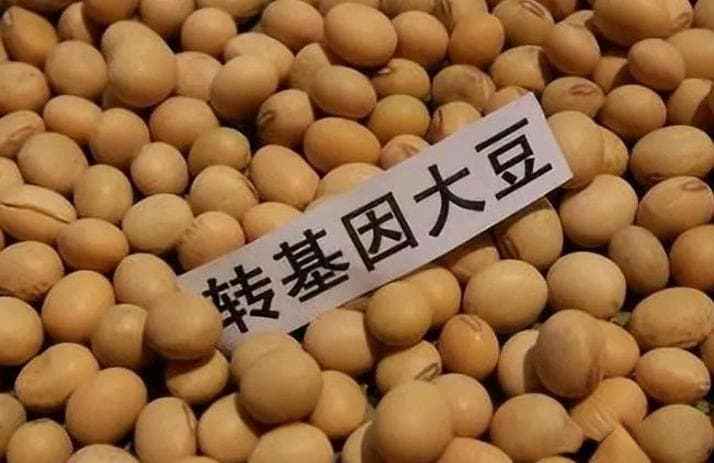 食用油都是非转基因的吗？