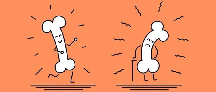 骨密度的双重保障：充足的营养和有效力量训练
