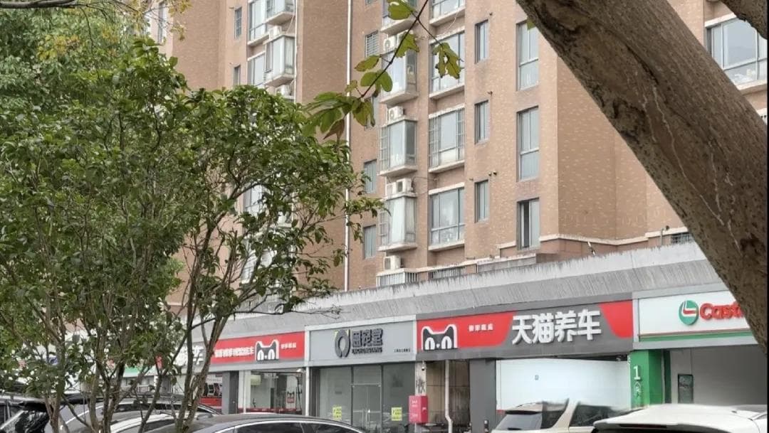 宠物殡葬店开在居民楼下、遗体在车上火化，如何促进行业合规发展？