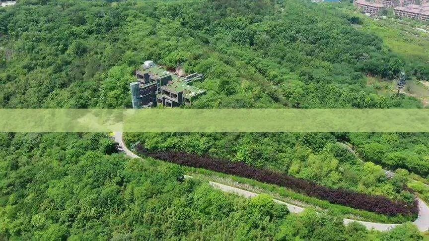 汕尾2天自驾游攻略：探索海滨风光与特色美食