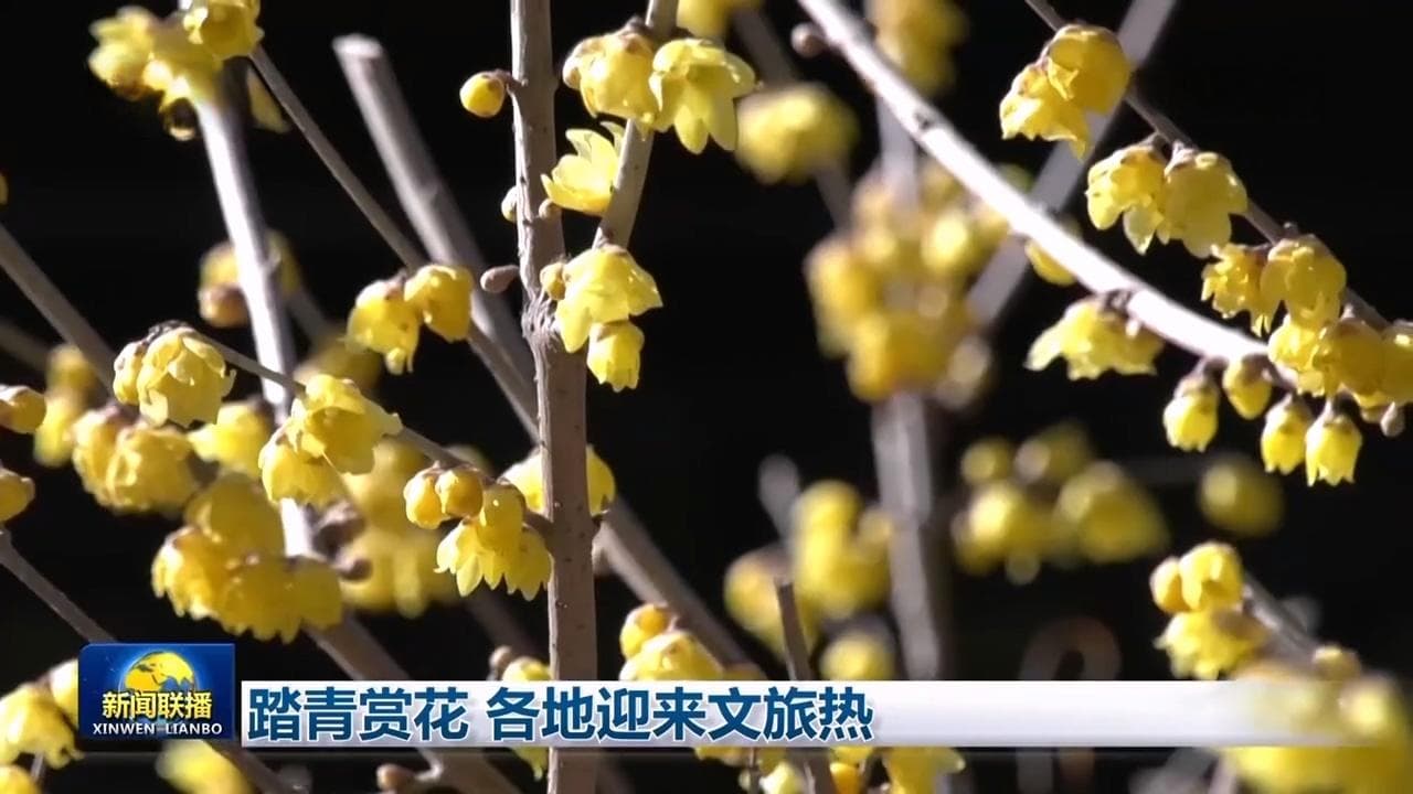 踏青赏花 各地迎来文旅热