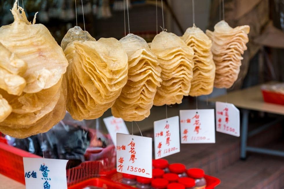 花胶的功效与食用指南：从营养成分到适宜人群的全面解析