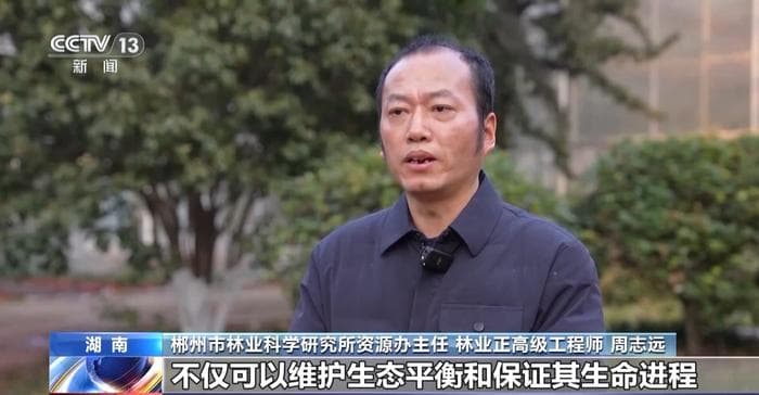 守护绿色“活化石” 让古树名木成为一道亮丽的风景