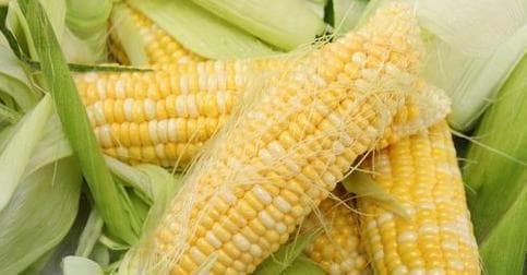 生玉米能否直接食用？安全食用指南