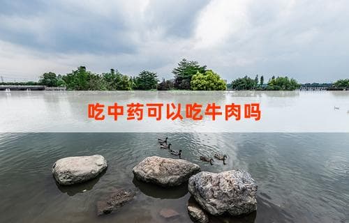 吃中药可以吃牛肉吗？解答与注意事项