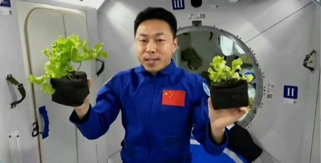 成为一名合格的航天员，需要几步？