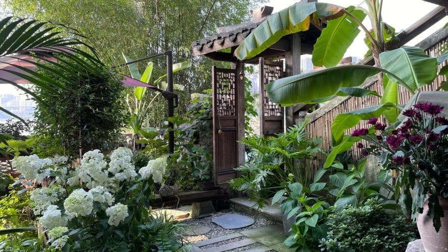 夏日怎么描写？抓住夏日氛围的N种高级表达方式！