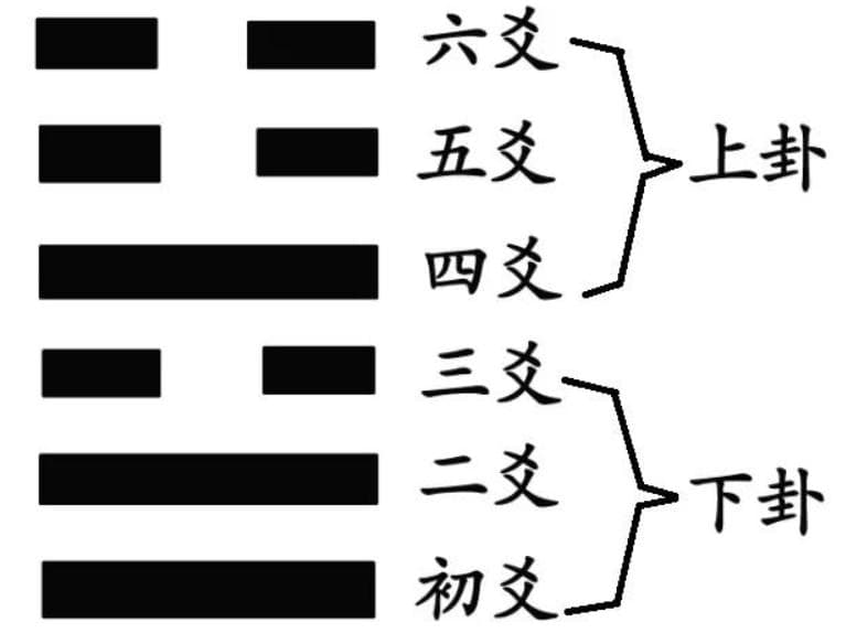 什么是六爻（yáo）？