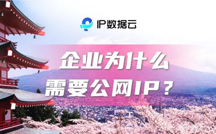 企业为什么需要公网IP？